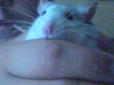 DSC00010.JPG