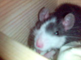 Obrázek(9).jpg