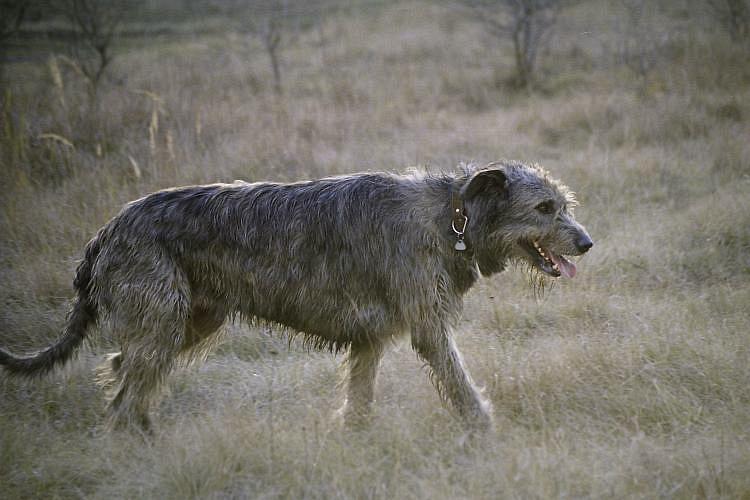 9519961.jpg